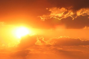 z-1-creator-page-pic1