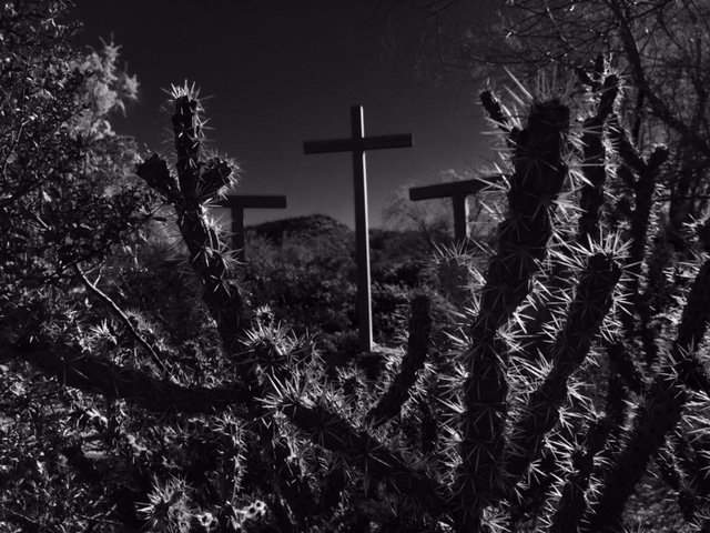 cross and cactus
